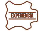 Experiencia