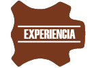 Experiencia